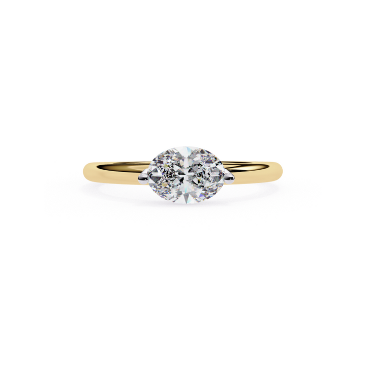 Timeless Elegance