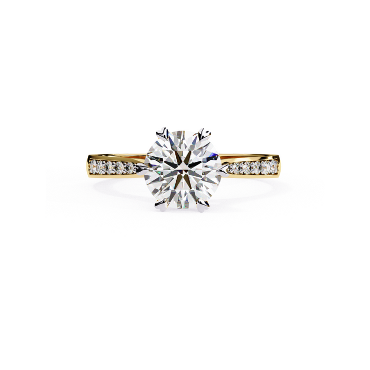 Timeless Radiance