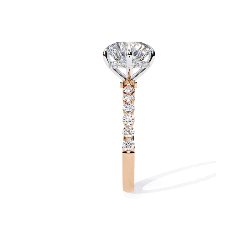 Stellar Radiance Ring